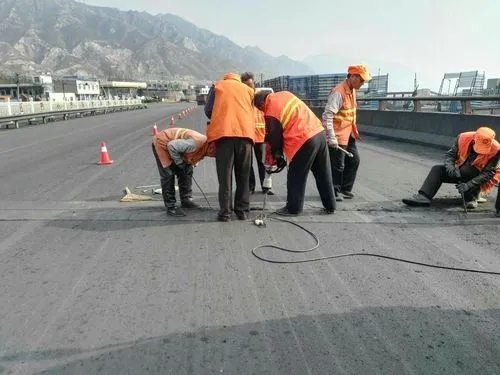 平果道路桥梁病害治理